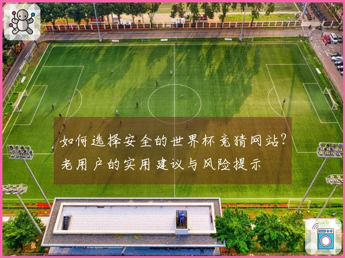 如何选择安全的世界杯竞猜网站？老用户的实用建议与风险提示