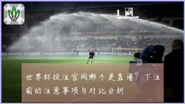 世界杯投注官网哪个更靠谱？下注前的注意事项与对比分析