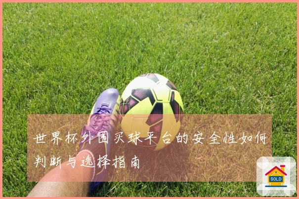 世界杯外围买球平台的安全性如何判断与选择指南