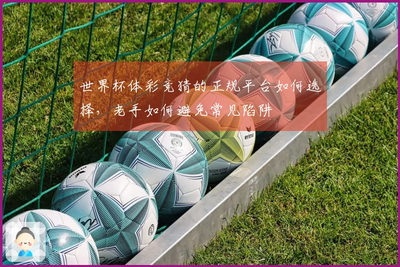 世界杯体彩竞猜的正规平台如何选择，老手如何避免常见陷阱