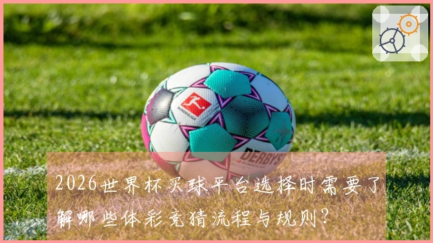 2026世界杯买球平台选择时需要了解哪些体彩竞猜流程与规则？