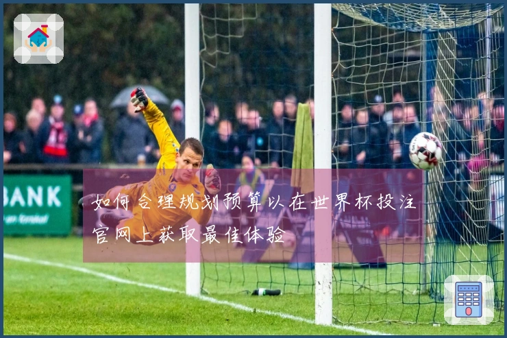 如何合理规划预算以在世界杯投注官网上获取最佳体验