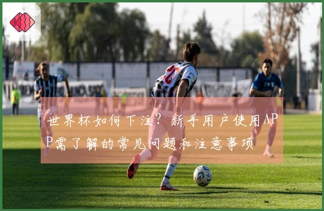 世界杯如何下注？新手用户使用APP需了解的常见问题和注意事项